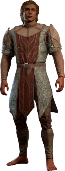 File:Chain Mail High Elf Front Model.webp