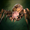 Portrait Giant Spider.png