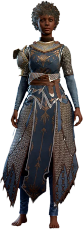 Chain Mail +2 Human Front