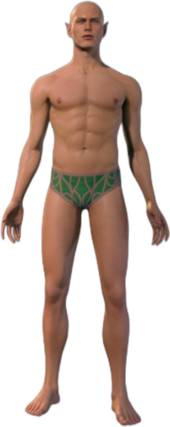 Elf Male Front