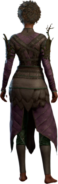 File:Armour of the Sporekeeper Human Back Model.webp - bg3.wiki