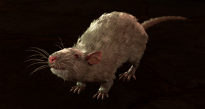 Rat Albino.png