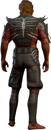 The Graceful Cloth Half-Elf Back