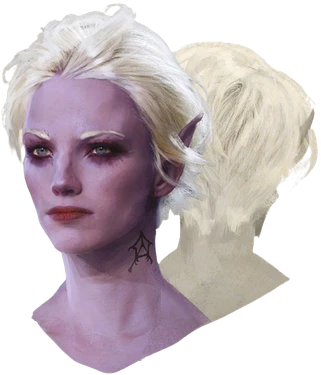 Digital Artbook concept