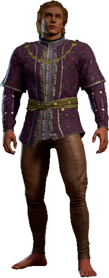 Splendid Purple Outfit High Elf Front