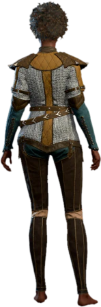 Chain Shirt +1 Human Back