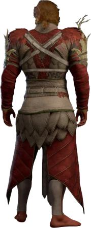 Druid Leather Armour Red Half-Elf Back