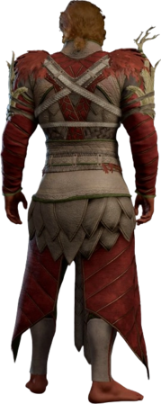 Druid Leather Armour Red Half-Elf Back