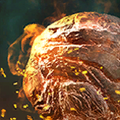 Portrait Flaming Sphere (creature).png