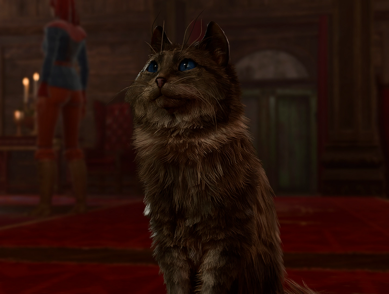 Kira the Cat - bg3.wiki