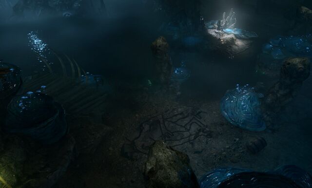 The Festering Cove - bg3.wiki