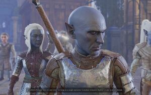 A picture of Wulbren outside of the just destroyed Steel Watch Foundry. Wulbren face is full of contempt, showing he still blames the Gondians for the Steel Watch.