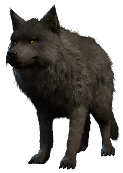 File:D'hak Model.png