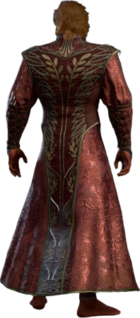 Shelter of Athkatla Half-Elf Back