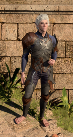 Penumbral Armour in game male.PNG