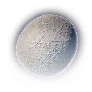 Spider Egg Sac image