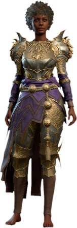 Plate Armour +1 Human Front