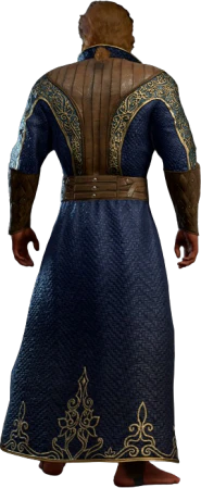 The Protecty Sparkswall Half-Elf Back