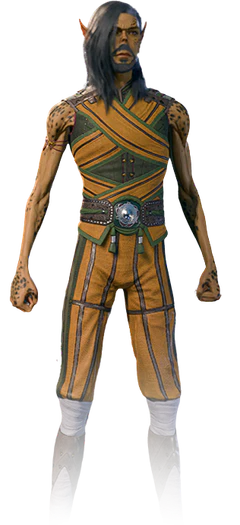 Monk's default armour