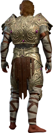 Githyanki Half Plate B High Elf Back