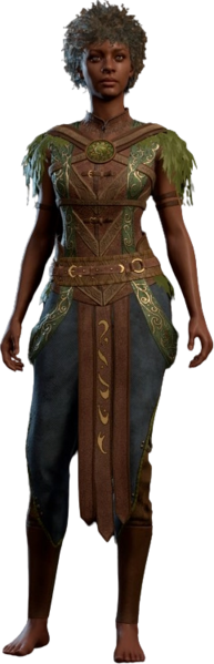 File:Druid Leather Armour Human Front Model.webp