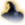 The Pointy Hat Icon.png