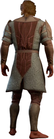 Chain Mail High Elf Back