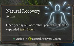 Natural Recovery.jpg