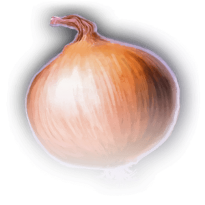 Onion image