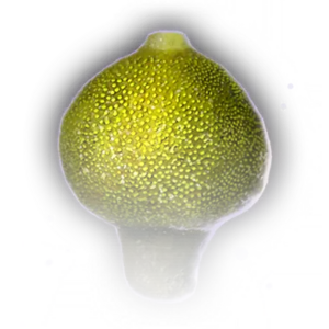Poison Spore image