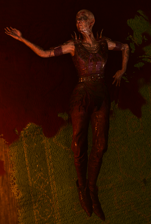 CassieWheynstown.png
