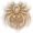 Venomous Bite Spider Icon 64px.png