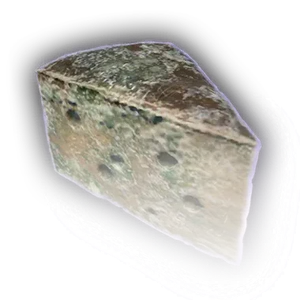 Rotten Waterdhavian Cheese Wedge image