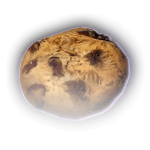 Bex's handmade cookies image