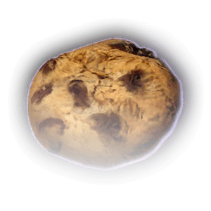 Biscuit image