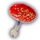 Blushcap Mushroom