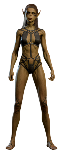 Lae zel s Underwear Baldur s Gate 3 Wiki