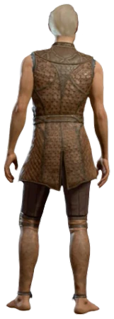 Leather Armour Minsc Half-Elf Back