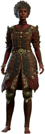 Ring Mail Armour +2 Human Front