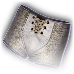 Wyll's Underwear image
