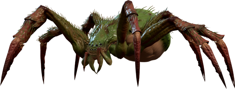 File:Conjured Spider Model.png