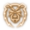 Summon Bear Companion Icon 64px.png