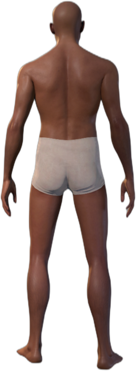 Underwear Human Back