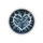 Action Surge Condition Icon.png