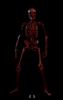 Bloodmarrow Skeleton.png