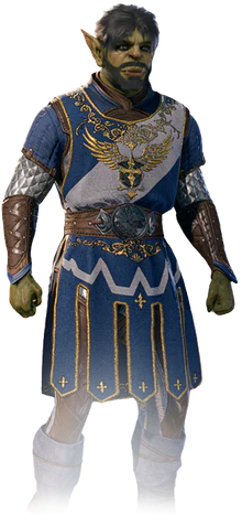 Paladin's default armour