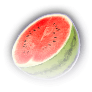 Sunmelon Piece image