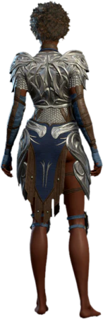 Githyanki Half Plate C Human Back