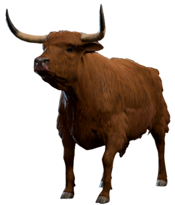 Ox Model.png