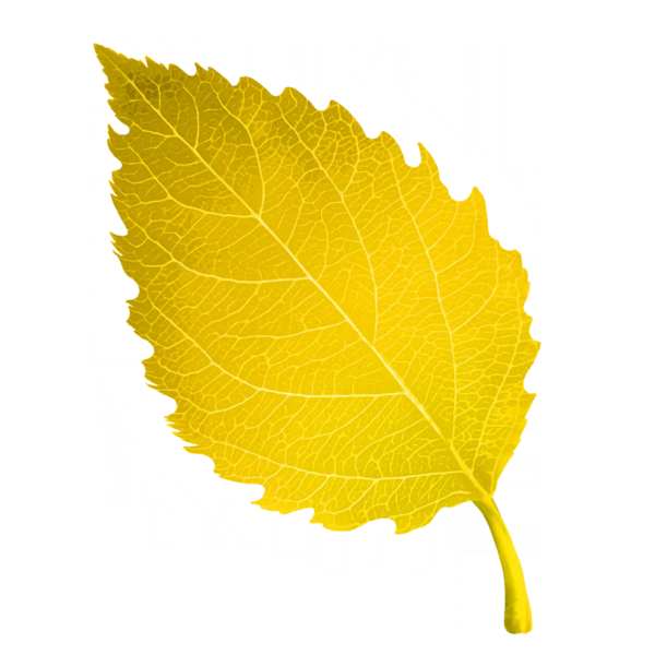 File:Sticker Env Leaf 3.webp